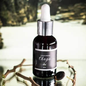 Chaga – Extracto Gotas