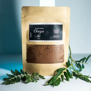 Chaga – Extracto Polvo