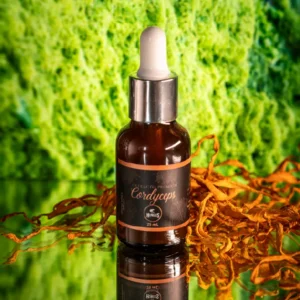 Cordyceps – Extracto Gotas
