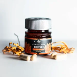 Cordyceps – Cápsulas