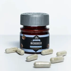Psilocybe cubensis – Cápsulas