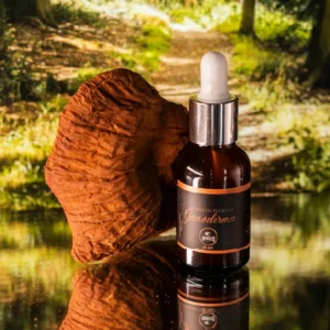 Reishi – Extracto Gotas