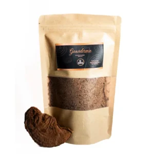 Reishi – Extracto Polvo